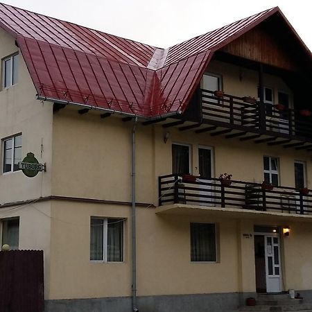 Vila Casa Ta Sinaia Kültér fotó