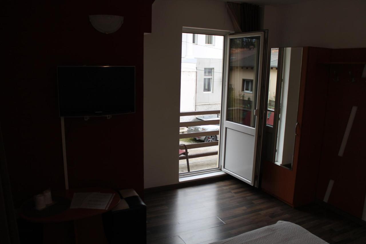 Vila Casa Ta Sinaia Kültér fotó