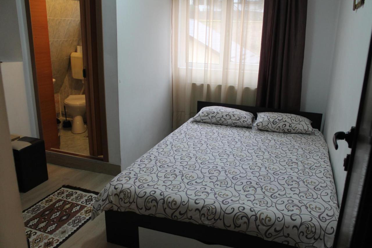 Vila Casa Ta Sinaia Kültér fotó