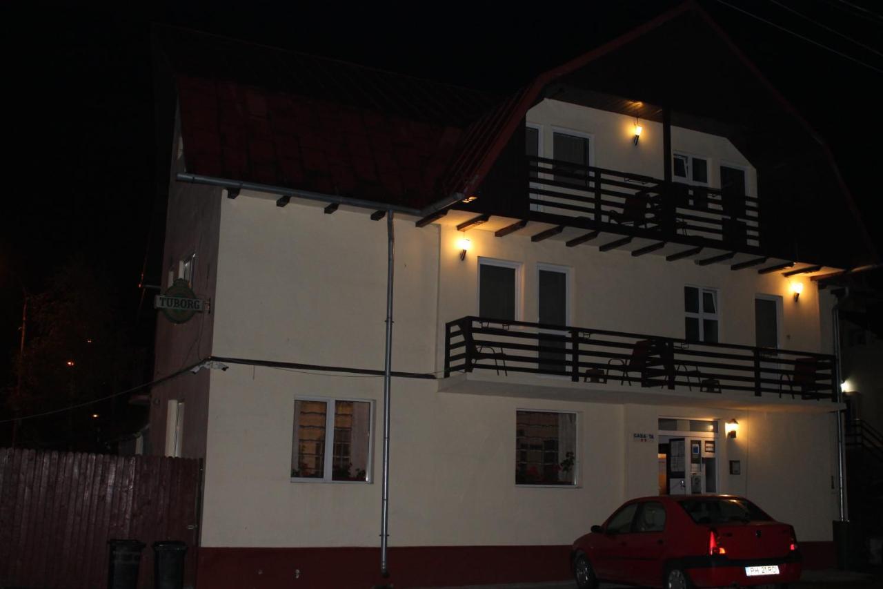 Vila Casa Ta Sinaia Kültér fotó