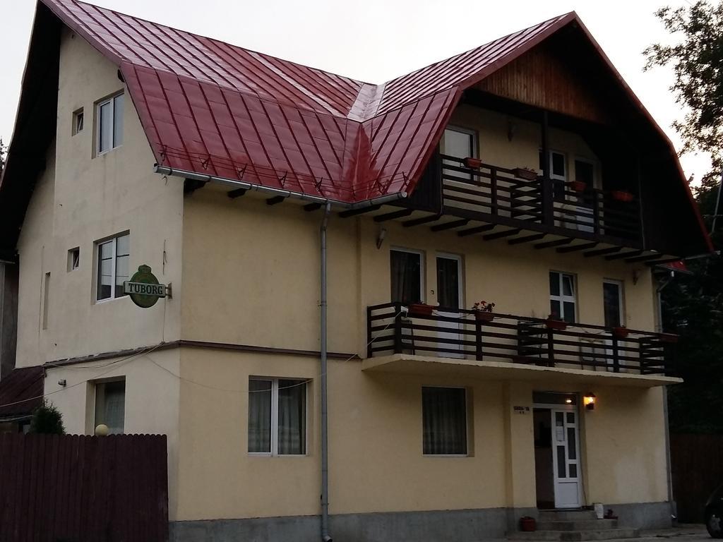 Vila Casa Ta Sinaia Kültér fotó